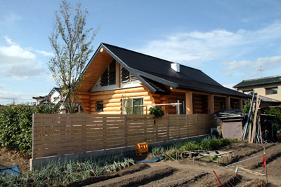 Canadian full scribe log home