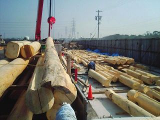 Huge logs arrived from Canada