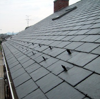 Genuine natural slate for roof